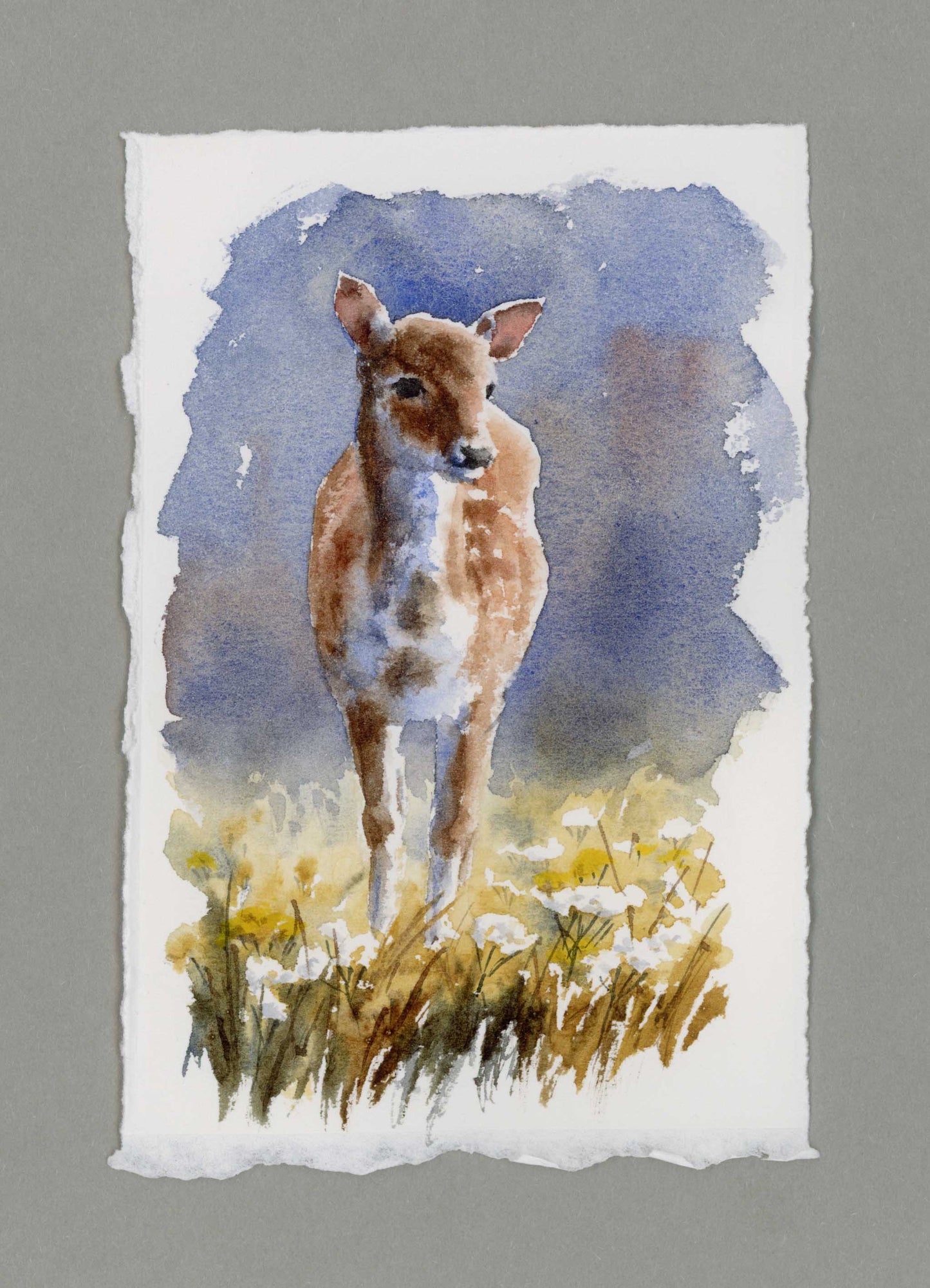 "Fawn in Meadow" Small Original Watercolour