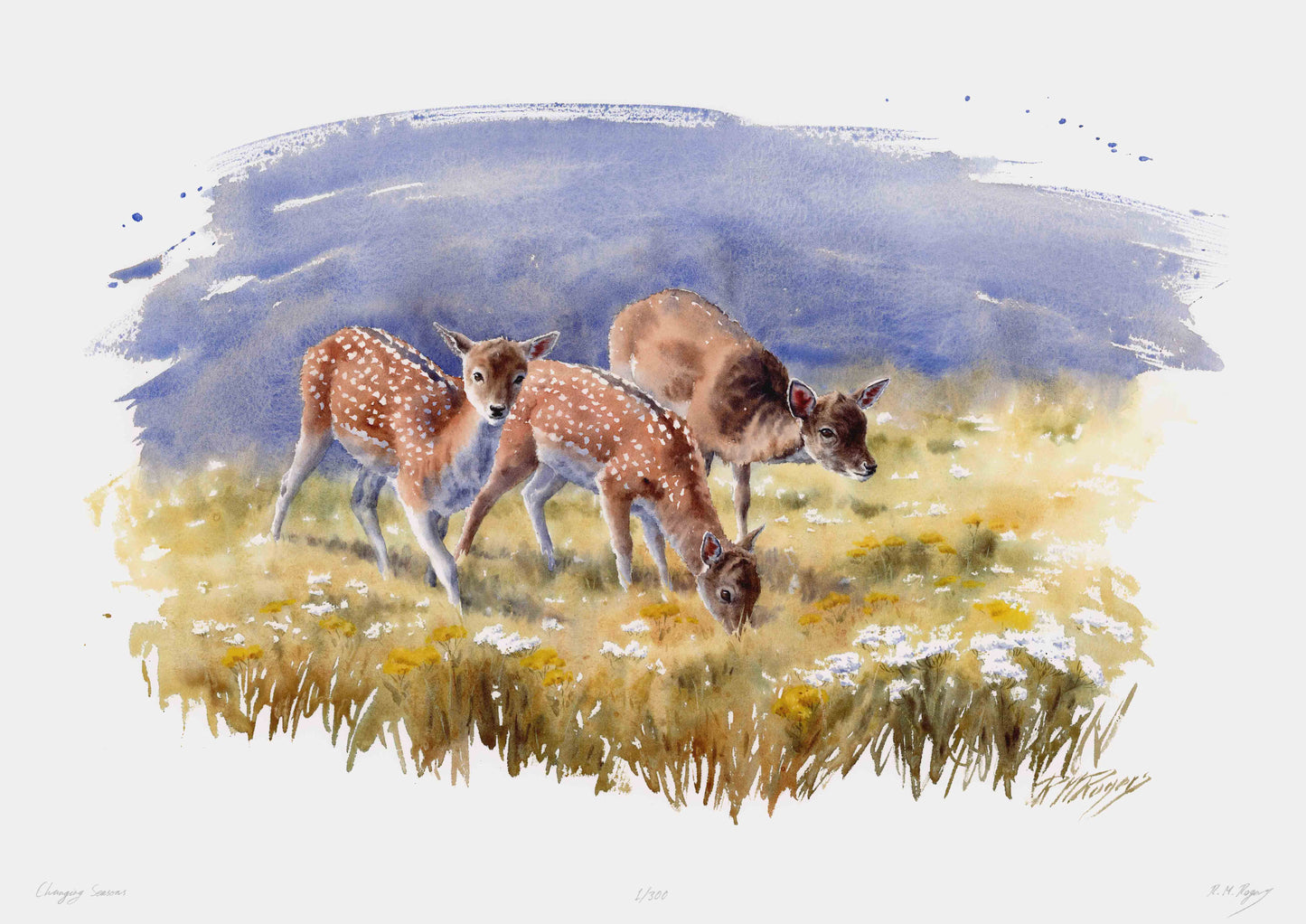 "Changing Seasons" Limited Edition Fine Art Print