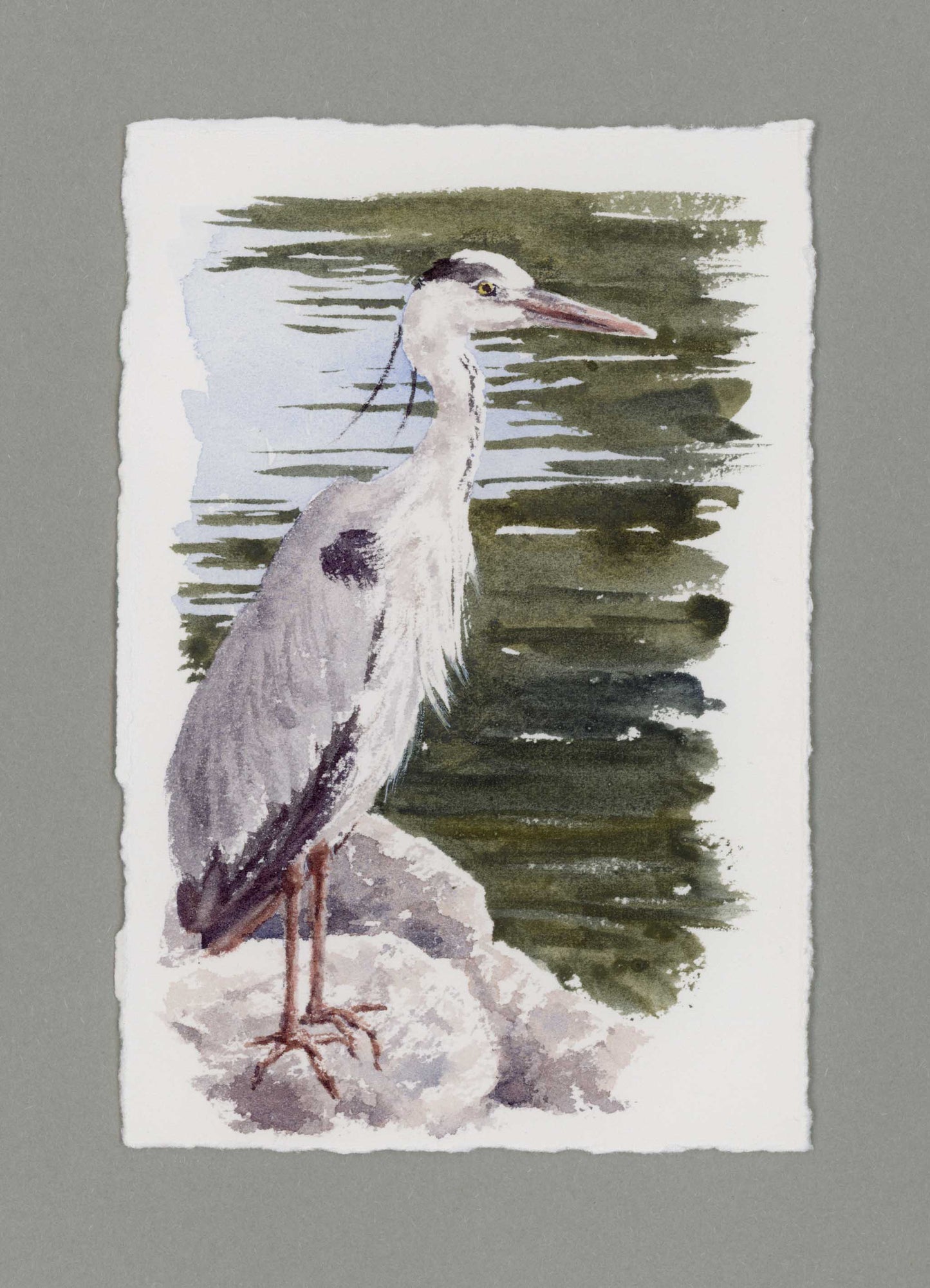 "Heron on Rocks" Small Original Watercolour