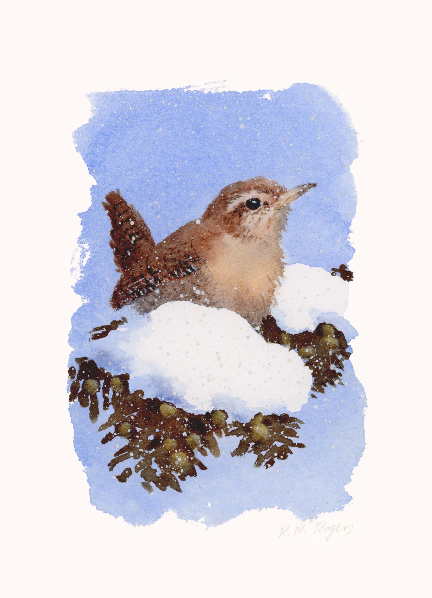 Winter Birds - Set of 4 Mini Fine Art Prints