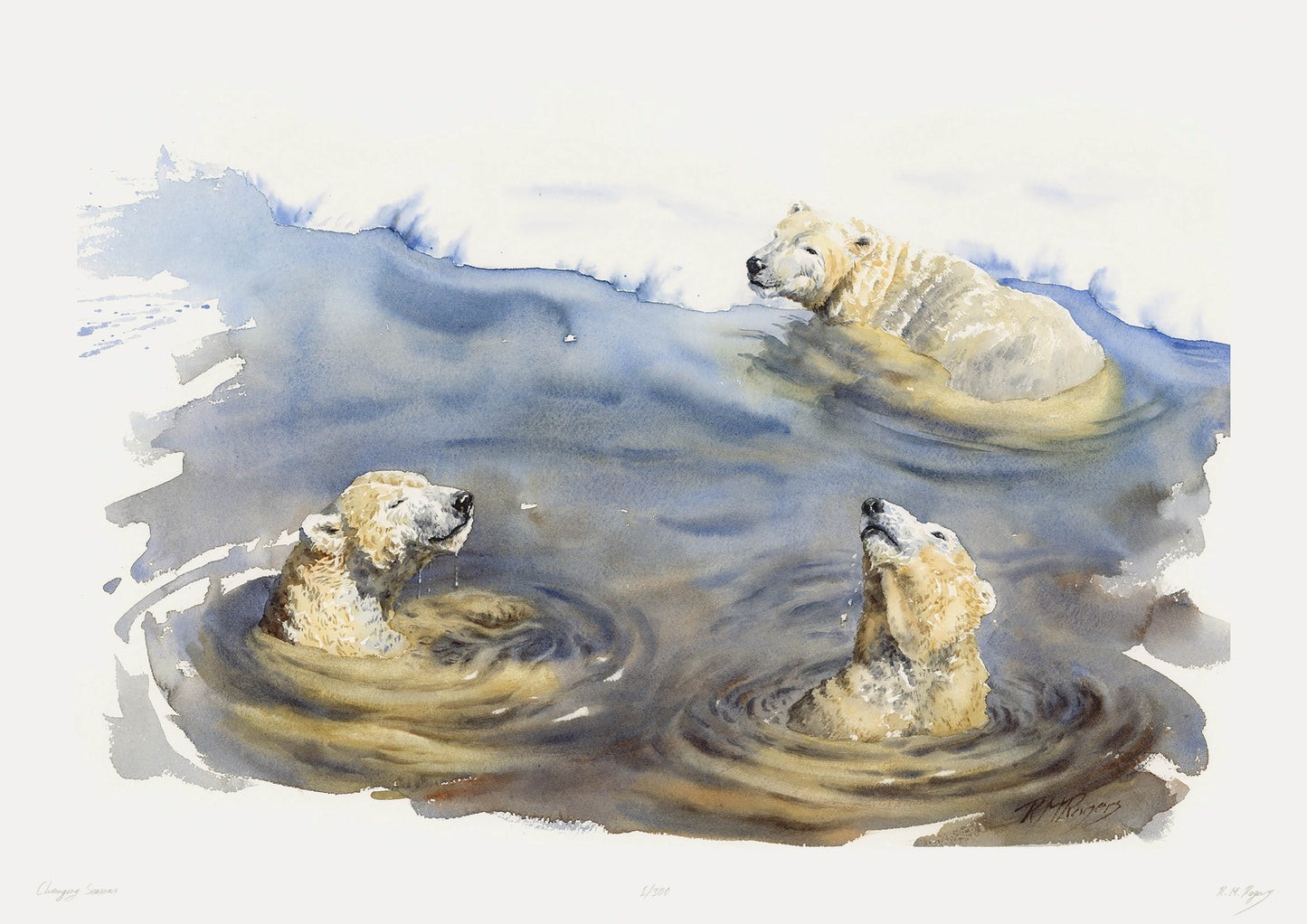 "Bears at Play" Limited Edition Fine Art Print