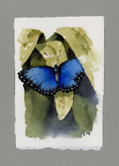"Blue Morpho" Small Original Watercolour