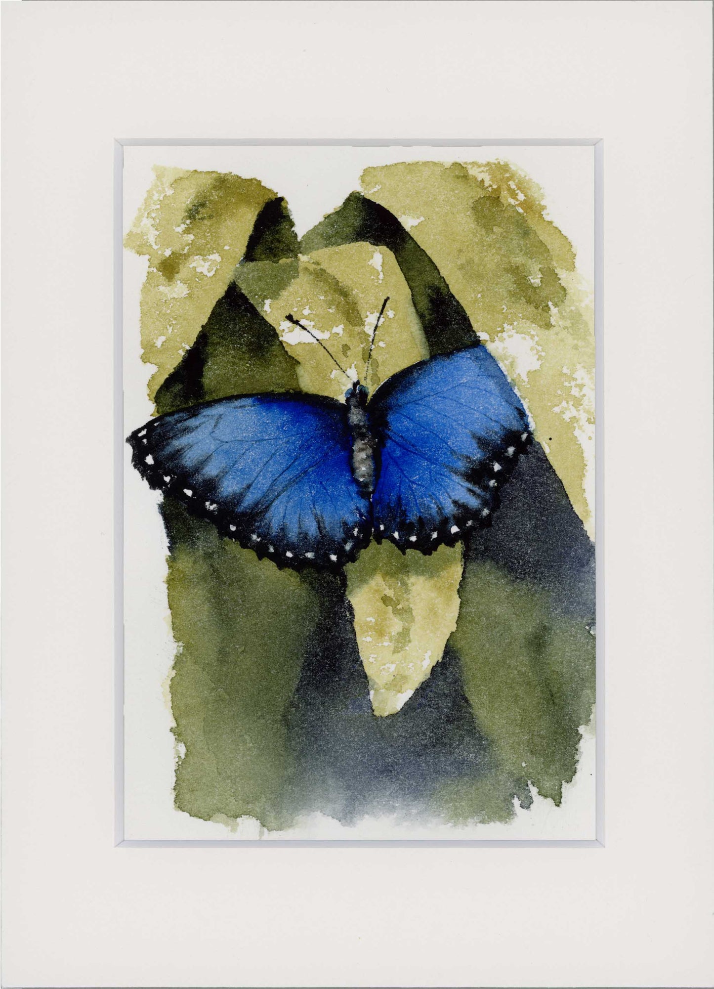 "Blue Morpho" Small Original Watercolour