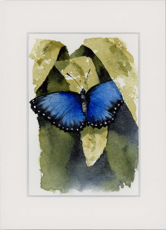 "Blue Morpho" Small Original Watercolour
