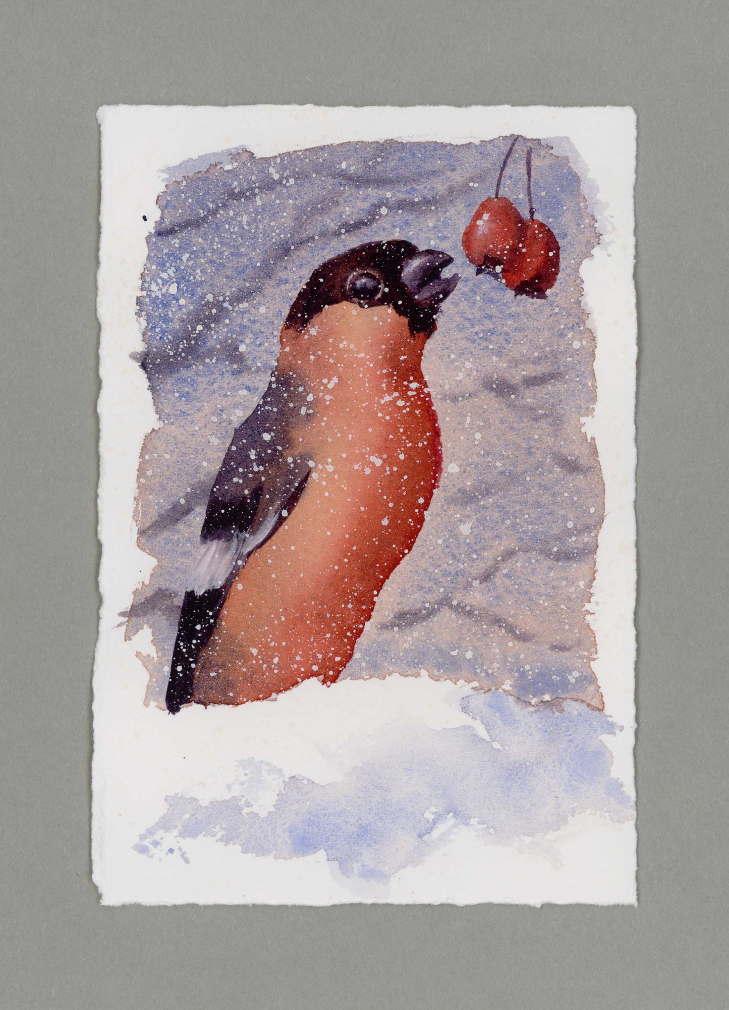 "Bullfinch in Snow" Small Original Watercolour