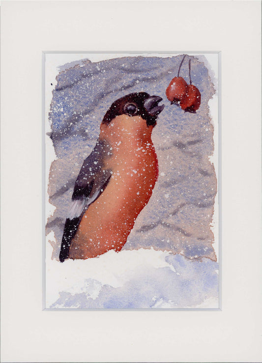 "Bullfinch in Snow" Small Original Watercolour