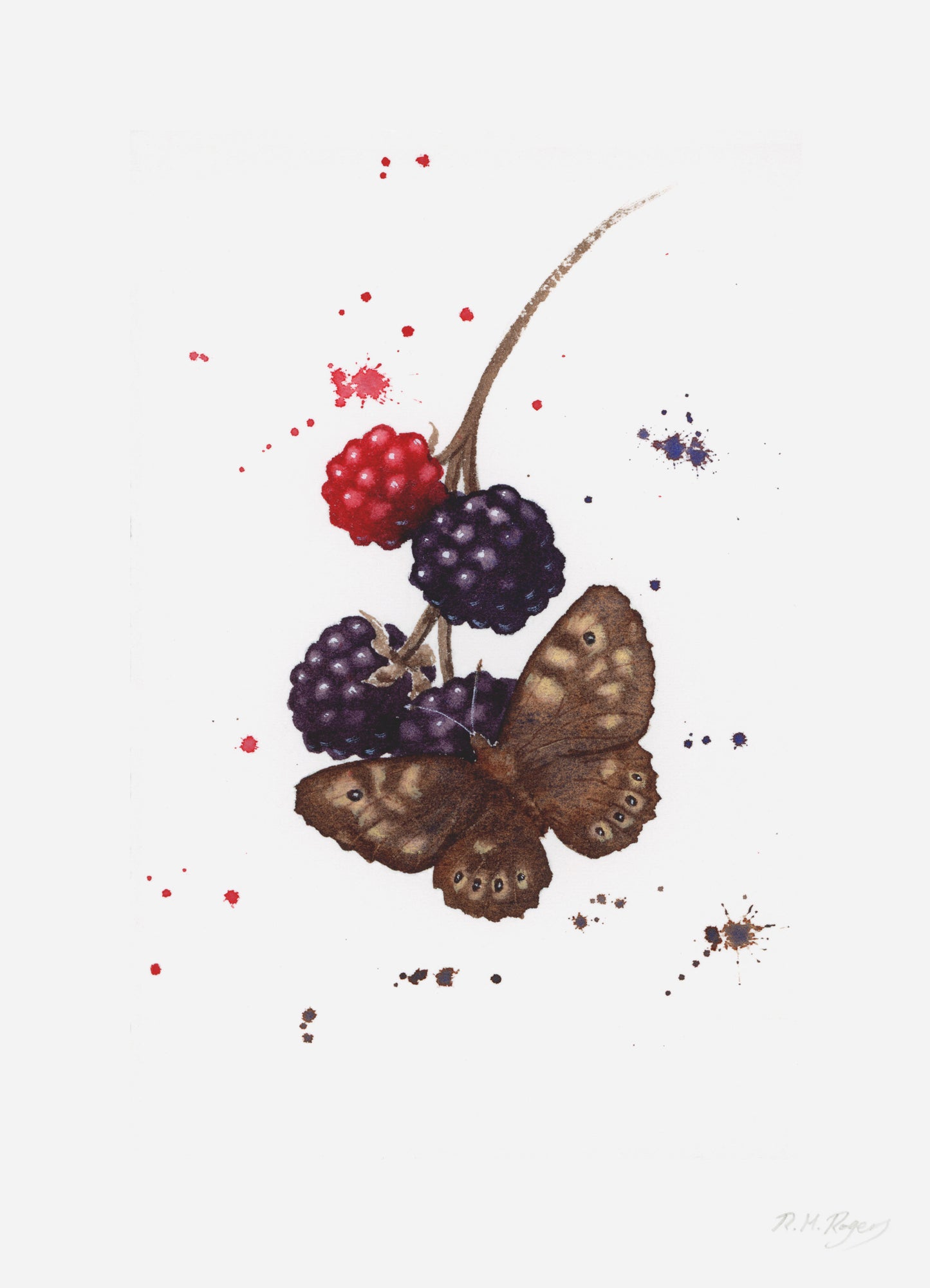 Butterflies - Set of 4 Mini Fine Art Prints