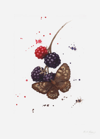 Butterflies - Set of 4 Mini Fine Art Prints