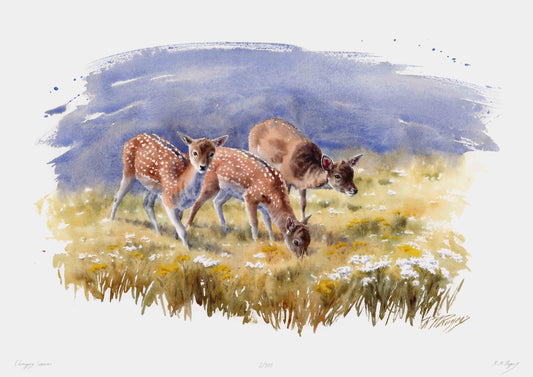 "Changing Seasons" Limited Edition Fine Art Print