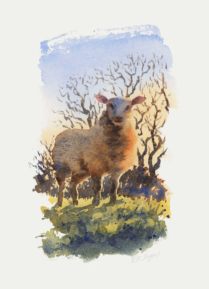 Farm & Field - Set of 4 Mini Fine Art Prints