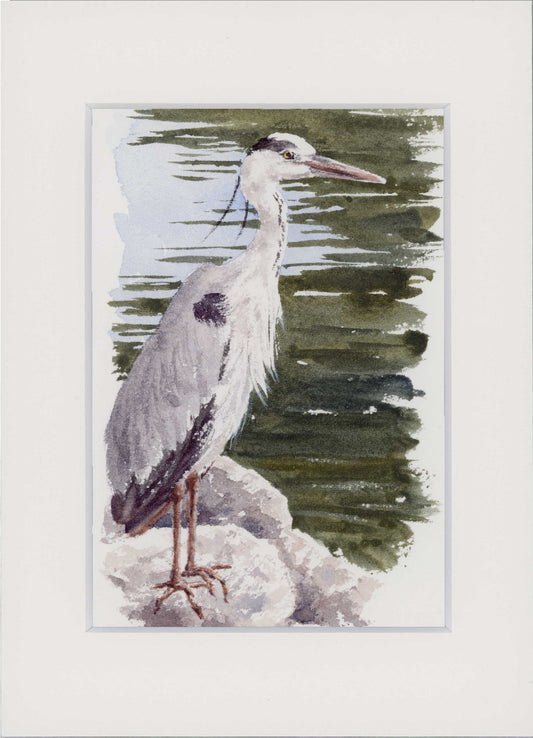 "Heron on Rocks" Small Original Watercolour