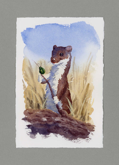 "Weasel & Beetle" Small Original Watercolour