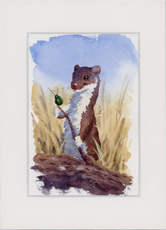 "Weasel & Beetle" Small Original Watercolour