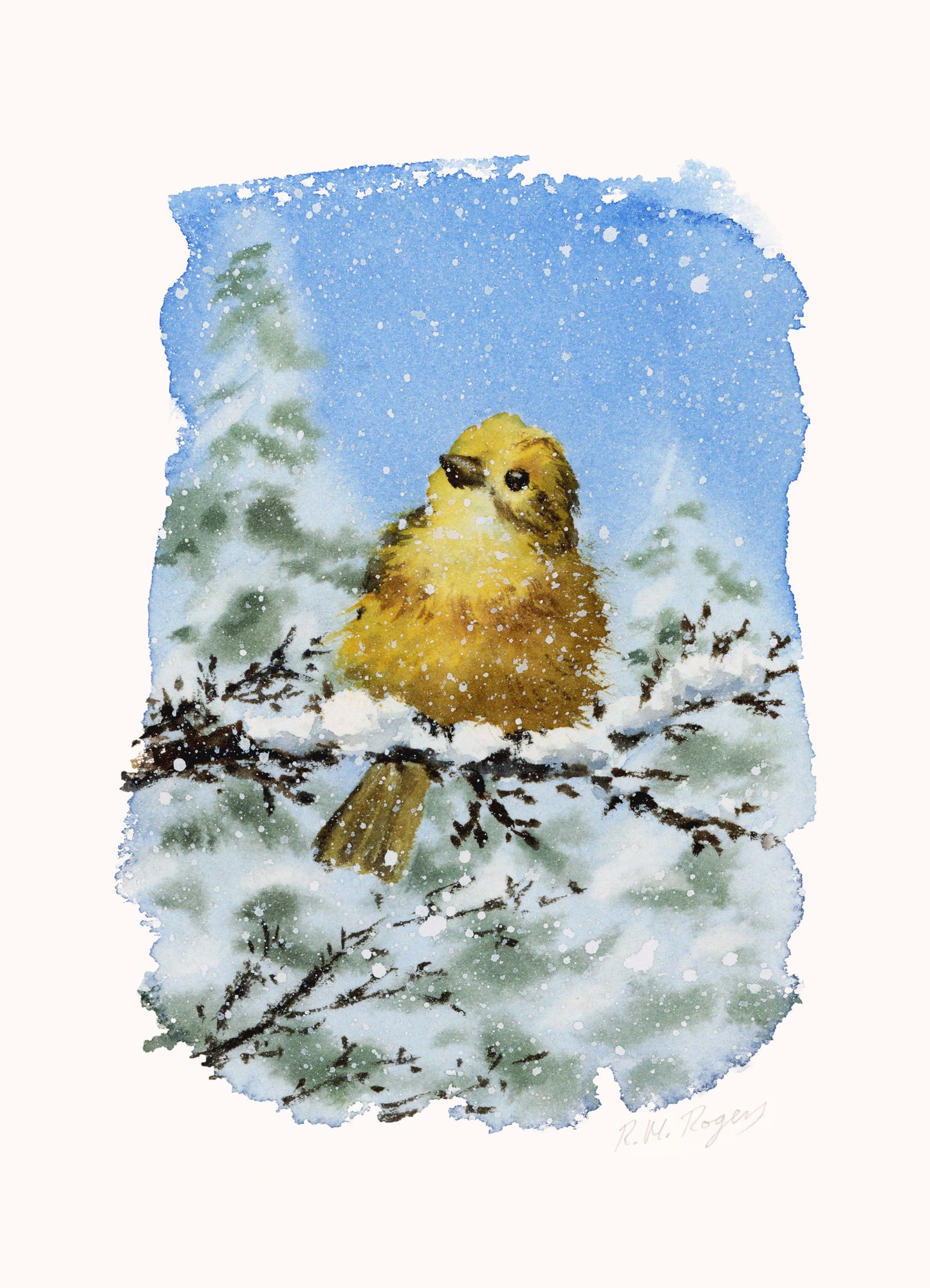 Winter Birds - Set of 4 Mini Fine Art Prints