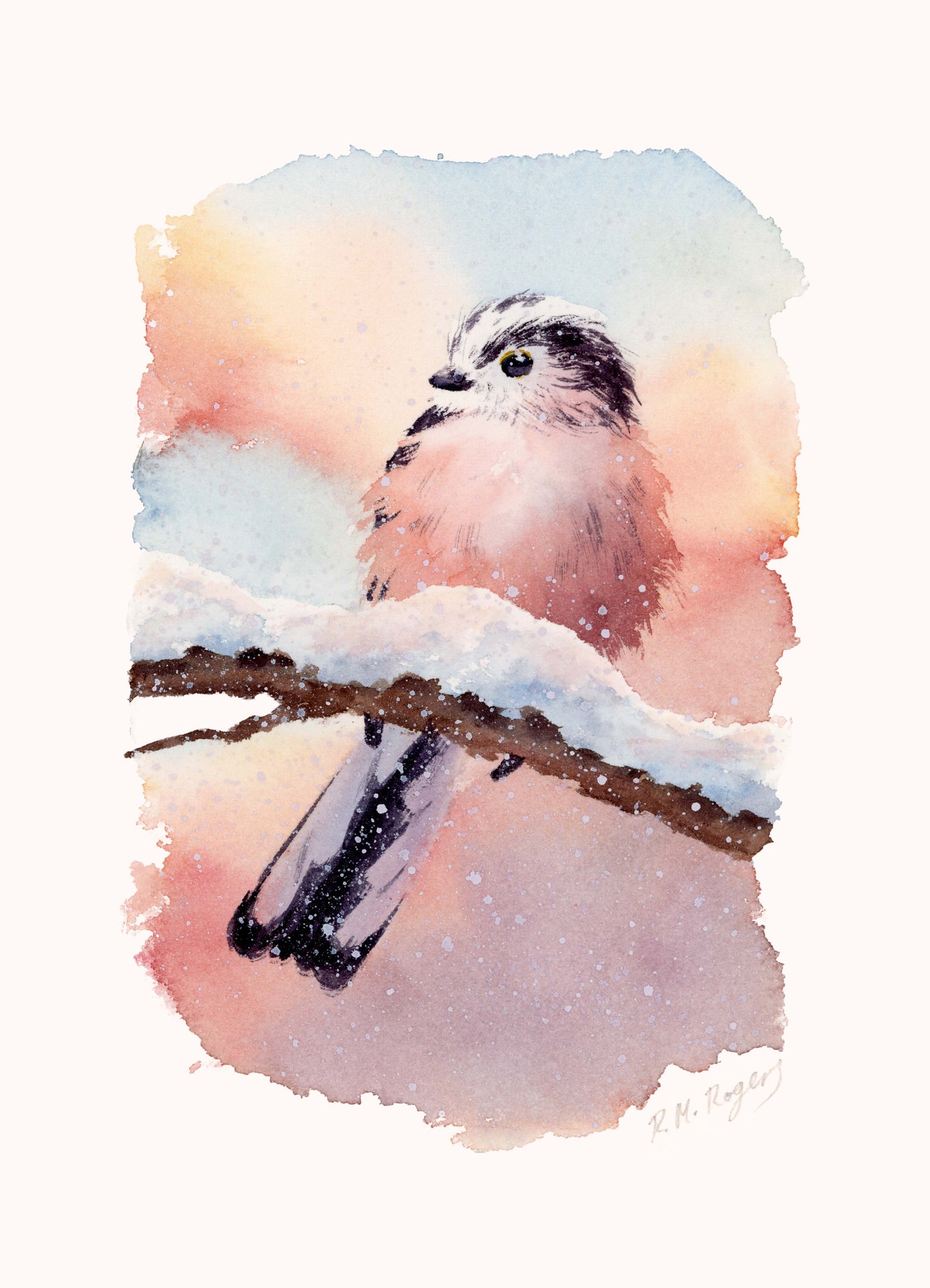 Winter Birds - Set of 4 Mini Fine Art Prints
