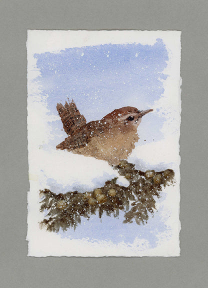 "Wren in Snow" Small Original Watercolour