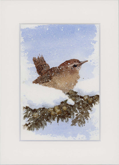 "Wren in Snow" Small Original Watercolour